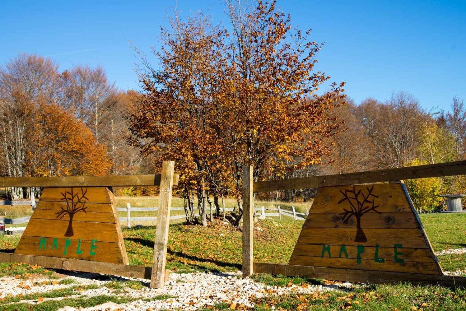 Maple Bungalows Žabljak Εξωτερικό φωτογραφία