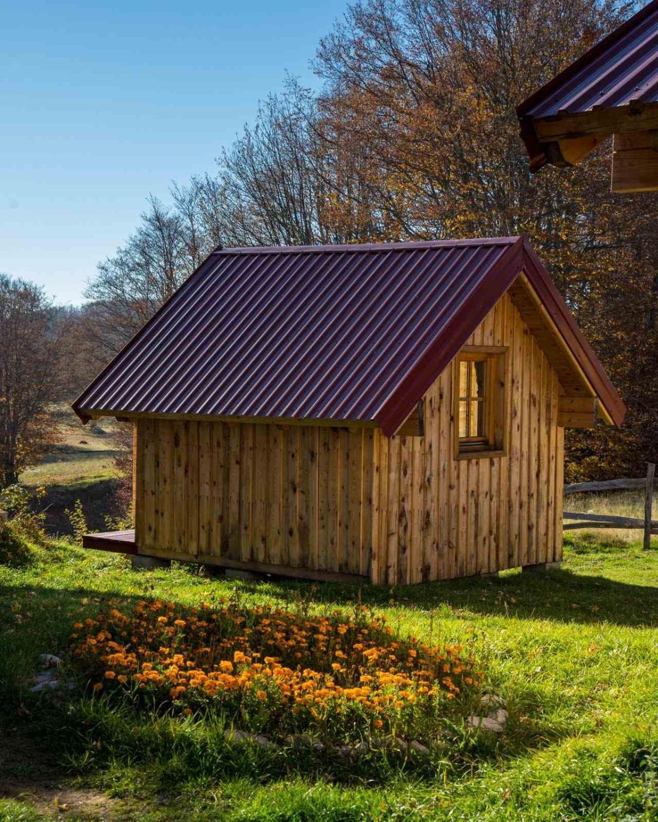 Maple Bungalows Žabljak Εξωτερικό φωτογραφία