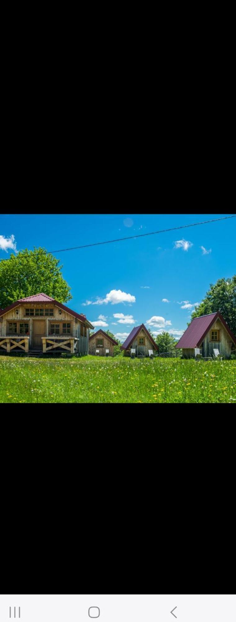 Maple Bungalows Žabljak Εξωτερικό φωτογραφία